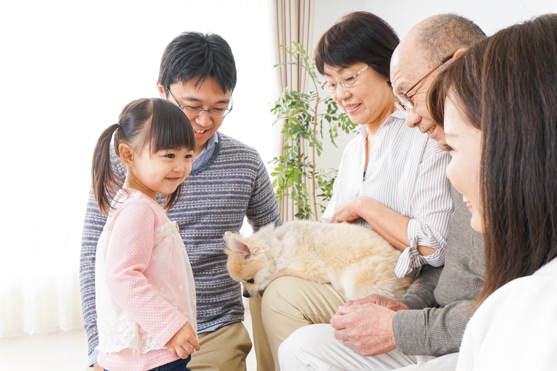 A three-generation family taking care of the dog. A three-generation family taking care of the dog.